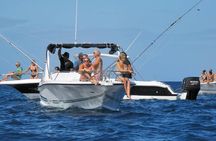 Private Speed Boat Experience To Dolphin House in Hurhgada 