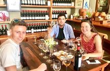 Taste 10 Types of Wine in 3 exceptional Casablanca’s Vineyards