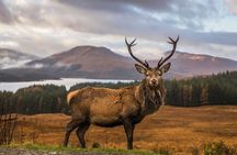 Private Isle of Skye Tour
