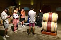 Taste 10 Types of Wine in 3 exceptional Casablanca’s Vineyards
