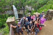 Fall Creek Falls Full Day Tour