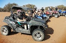 Quads & Buggy Adventure