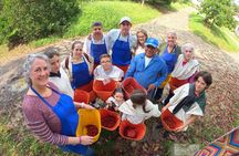 Hacienda Coffee Tour of "Coffee with Woman Aroma" with lunch