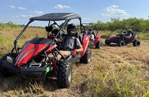 Bamboo Dune Buggy Tour