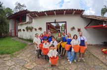 Hacienda Coffee Tour of "Coffee with Woman Aroma" with lunch