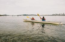 Elliott Bay Sea Kayak Tour