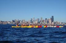Elliott Bay Sea Kayak Tour