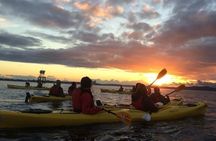 West Seattle Sunset Sea Kayak Tour