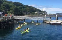 Alki Lighthouse Sea Kayak Tour