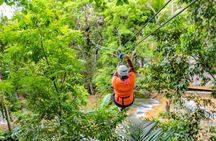 Dunns River Falls, Zipline, Bamboo Rafting & Horseback Tour