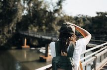 Immersive Iguazú Falls In One Day: Guided Walk, Train Ride & Boat