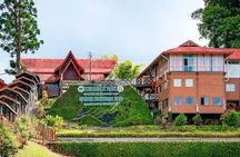 Day Trip to Kinabalu Park and Poring Hot Spring Guided Tour