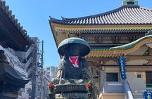 Sugamo: Exploring Grandma's Harajuku and Rikugien Garden
