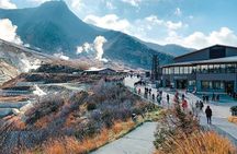 Hakone Full Customized Private Tour with English Speaking Driver