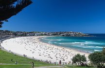 Bondi Beach & Beyond Private Tour