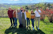 Parmigiano Wine and Balsamic Vinegar Experience from Bologna