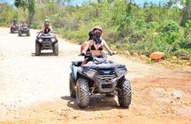 Tours Buggy Punta Cana Macau