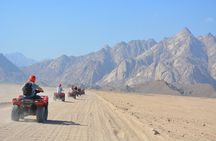 Safari ATV, Buggy, Camel, Bedouin Dinner and Hurghada Show