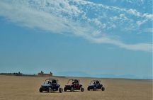 Safari ATV, Buggy, Camel, Bedouin Dinner and Hurghada Show
