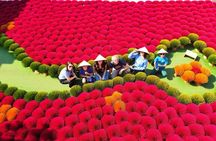 Small Group Of 9 Tour From Hanoi to Incense Village and Ninh Binh