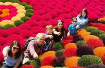 Small Group Of 9 Tour From Hanoi to Incense Village and Ninh Binh