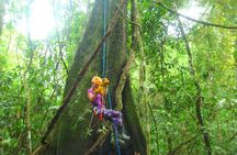3 days Amazon Jungle tour with Pink Dolphin watch from Iquitos