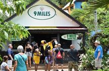 Bob Marley's Nine Mile Tour with Admission from Montego Bay
