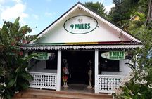 Bob Marley's Nine Mile Tour with Admission from Montego Bay