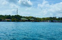 4 premium islands 