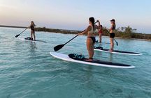 Private Paddleboard Experience in Bacalar