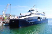 Pre-Booked Robben Island Half-Day Private Tour in Cape Town