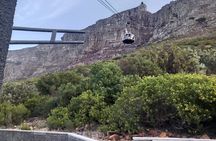 Robben Island & Table Mountain Tour – Tickets & Transfers