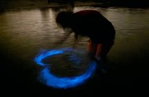 Orlando Bioluminescence Kayak Adventure