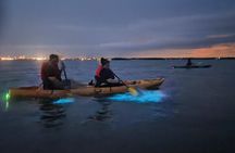  Magic After Dark Bioluminescence Kayak Tour Orlando