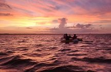 Magic After Dark Bioluminescence Kayak Tour Orlando