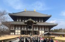 KYOTO and NARA TOUR with FREE ENTRANCE FEE(DRIVER ONLY)