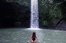 Ubud Waterfalls, Temple and Rice Terrace - Private Tour 