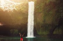 Ubud Waterfalls, Temple and Rice Terrace - Private Tour 