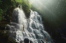 Ubud Waterfalls, Temple and Rice Terrace - Private Tour 