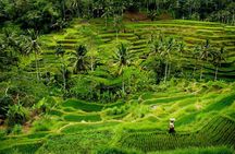 Ubud: Best of Ubud Private Day Tour - All Inclusive