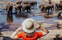 All-Inclusive Private tour in Sri Lankan Island 9 Day HB hotels