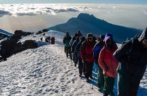 7 Days Mount Kilimanjaro Climbing Machame Route: