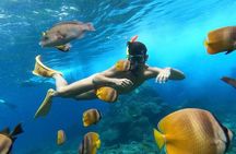 Day Trip: Nusa Penida Snorkling