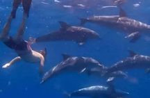 Private Tour to Mnemba Island with Lunch