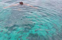 Private Tour to Mnemba Island with Lunch