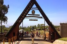 7 Days Mount Kilimanjaro Climbing Machame Route: