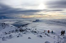 8 Days Mount Kilimanjaro Climbing Lemosho Route