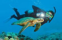From Side, Alanya: Scuba Diving With 2 Time Dive & Lunch