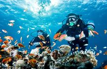 From Side, Alanya: Scuba Diving With 2 Time Dive & Lunch