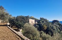 Visit to the Emerald Grotto with picnic in an olive grove.